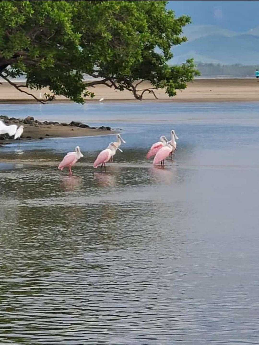 Turtle Beach Villas Zihuatanejo Buitenkant foto