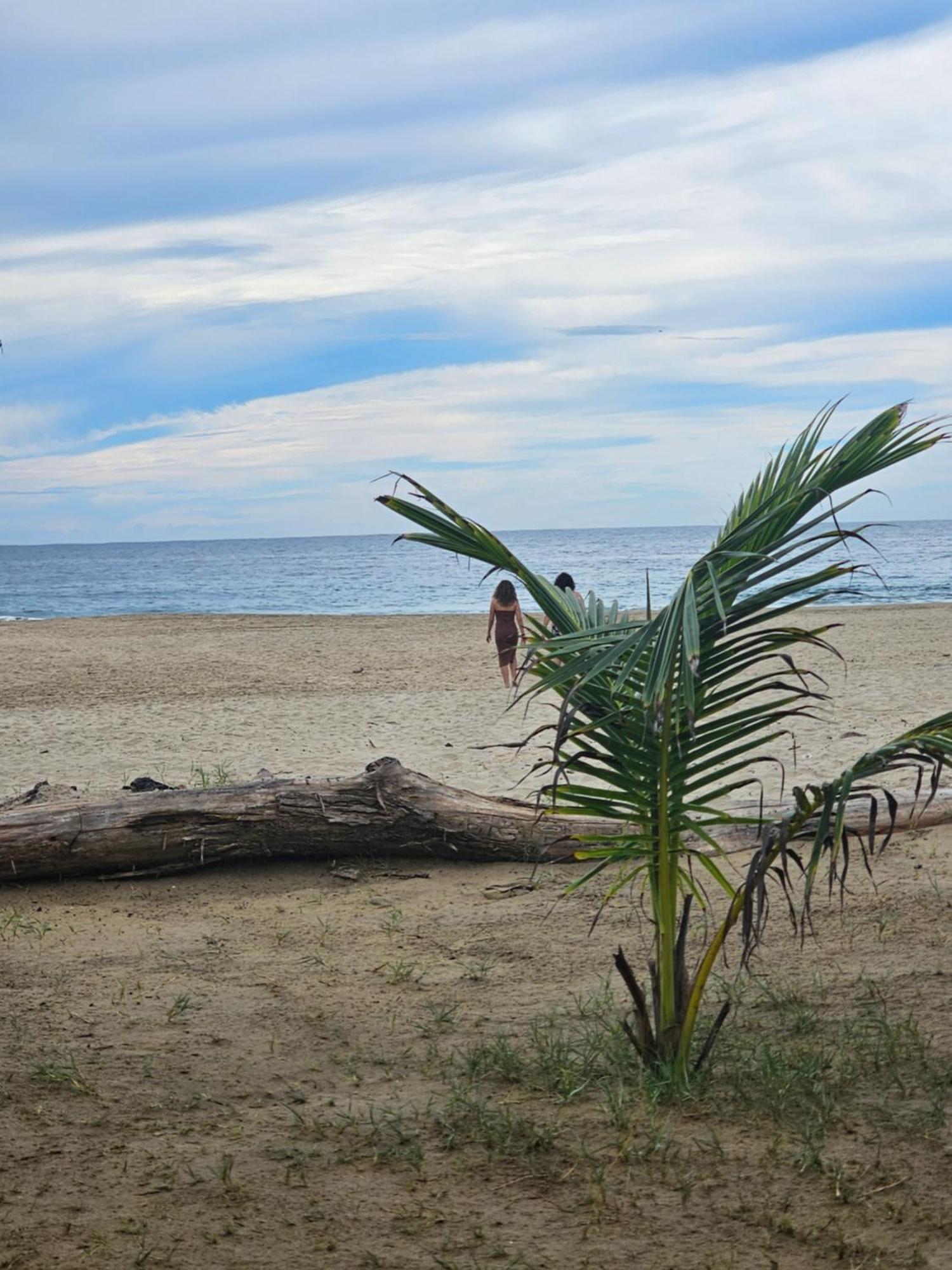 Turtle Beach Villas Zihuatanejo Buitenkant foto